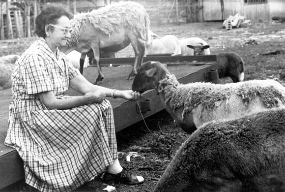 Lina Ruz en su casa de Birán, en 1958. Foto: Oficina de Asuntos Históricos del Consejo de Estado/Sitio Fidel Soldado de las Ideas Lina Ruz en su casa de Birán, en 1958. Foto: Oficina de Asuntos Históricos del Consejo de Estado/Sitio Fidel Soldado de las Ideas